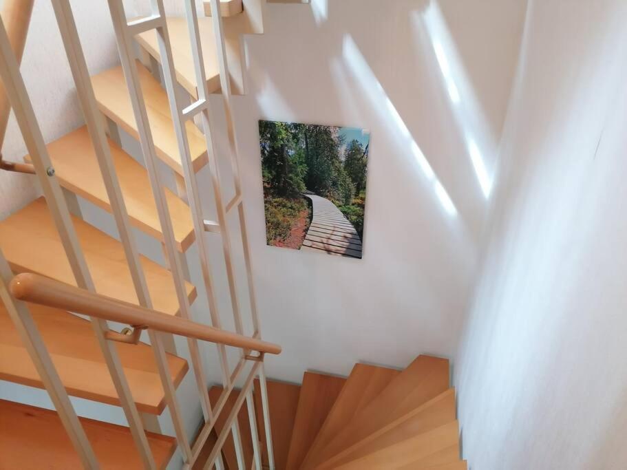 Ferienhaus Hoher Weg - Urlaub, Wandern, Downhill Und Workation Am Nationalpark Harz Sankt Andreasberg Exteriör bild