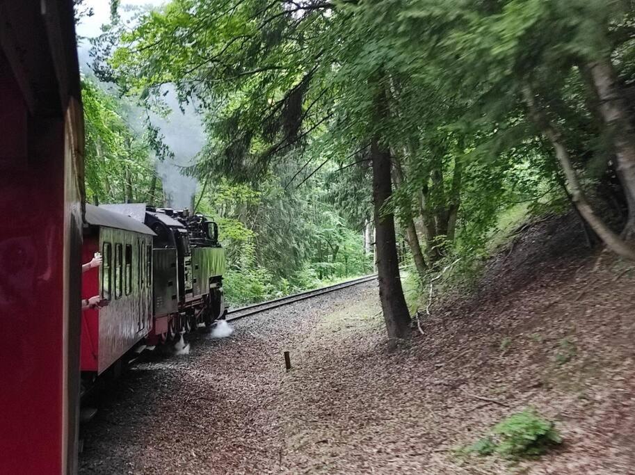 Ferienhaus Hoher Weg - Urlaub, Wandern, Downhill Und Workation Am Nationalpark Harz Sankt Andreasberg Exteriör bild