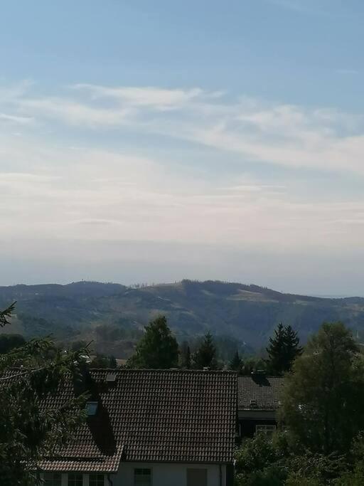 Ferienhaus Hoher Weg - Urlaub, Wandern, Downhill Und Workation Am Nationalpark Harz Sankt Andreasberg Exteriör bild