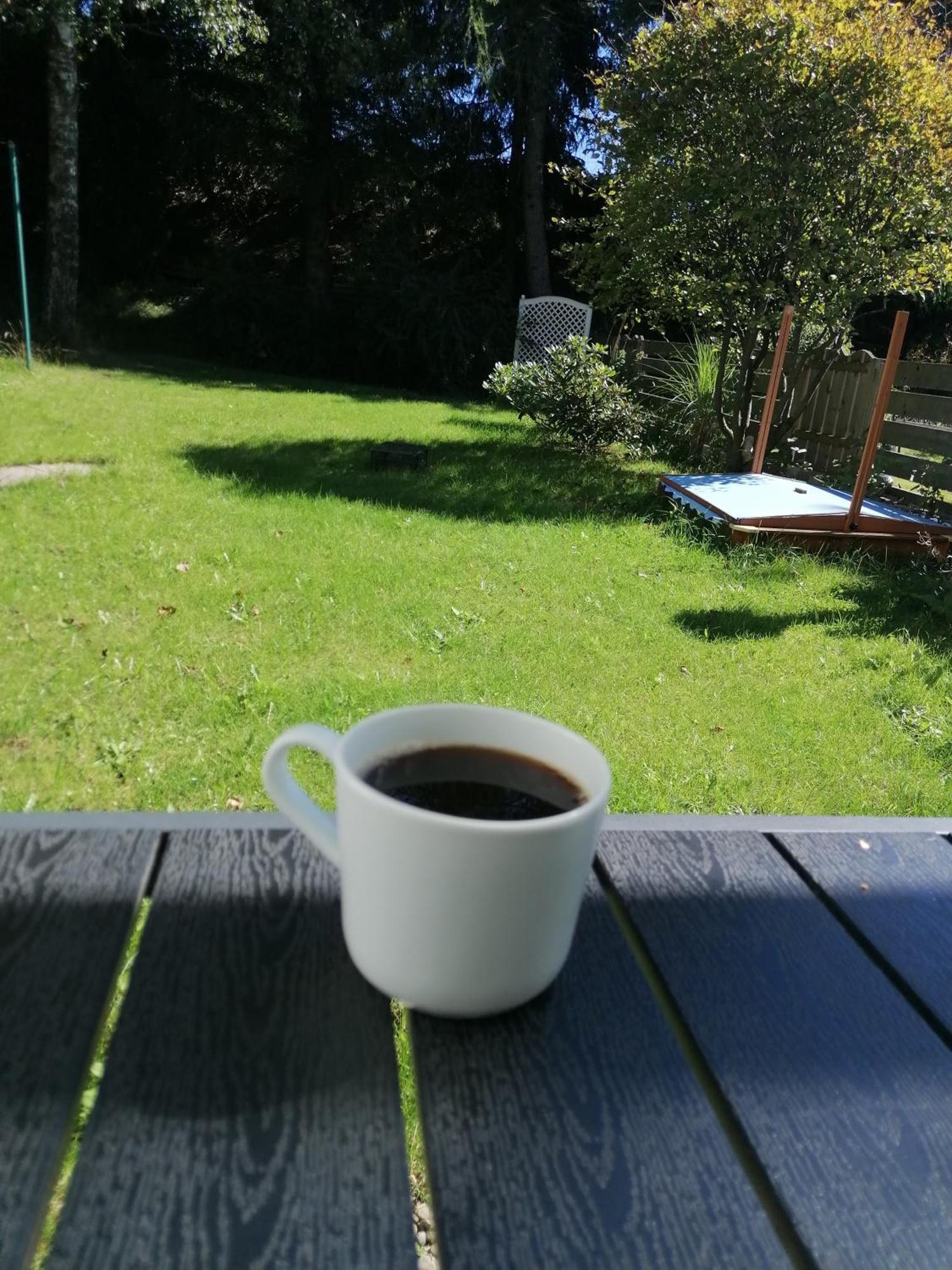 Ferienhaus Hoher Weg - Urlaub, Wandern, Downhill Und Workation Am Nationalpark Harz Sankt Andreasberg Exteriör bild